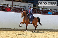 09r2-0986 proof