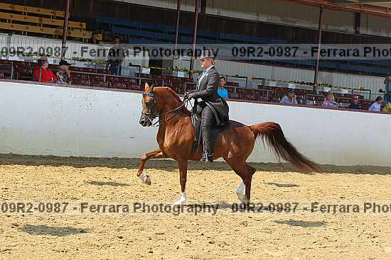 Proof 09r2-0987