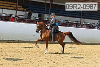 09r2-0987 proof