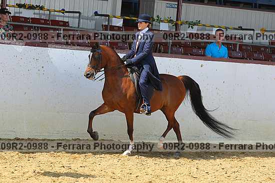 Proof 09r2-0988