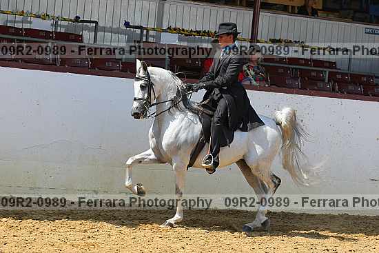 Proof 09r2-0989