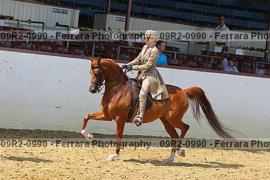 Proof 09r2-0990