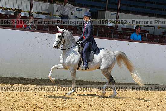 Proof 09r2-0992