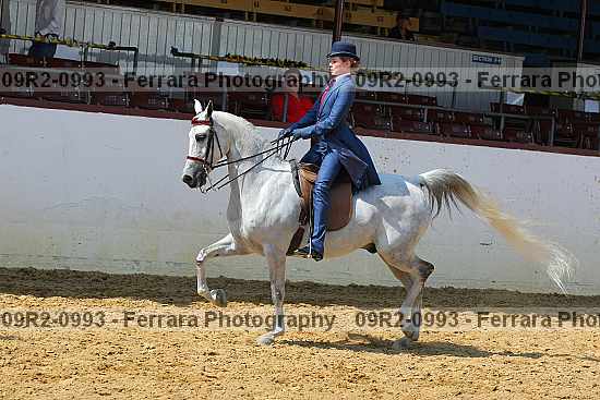 Proof 09r2-0993