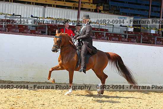 Proof 09r2-0994