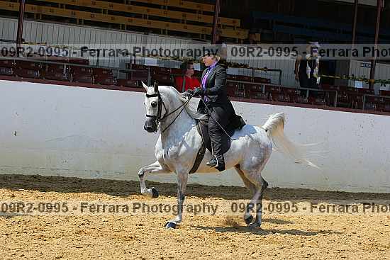 Proof 09r2-0995