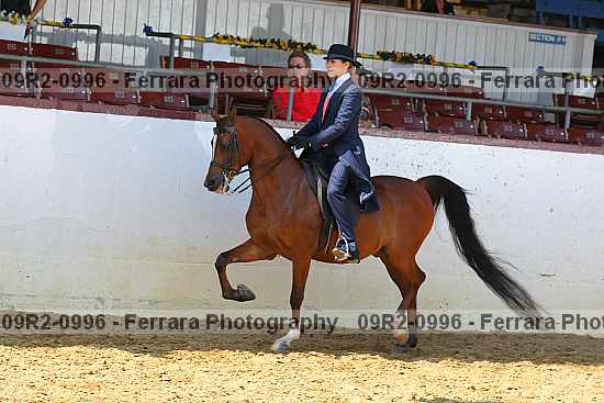 Proof 09r2-0996