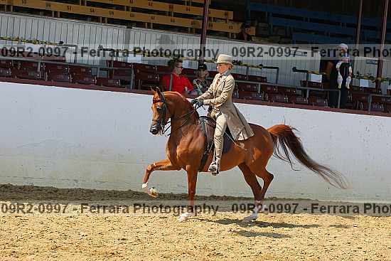 Proof 09r2-0997