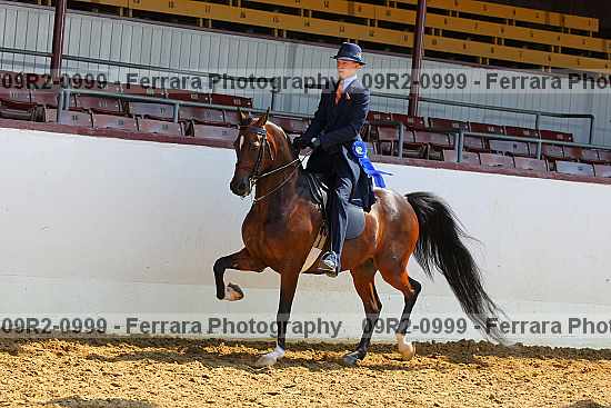 Proof 09r2-0999