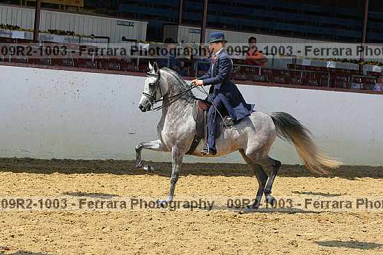 Proof 09r2-1003