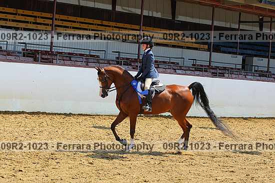 Proof 09r2-1023