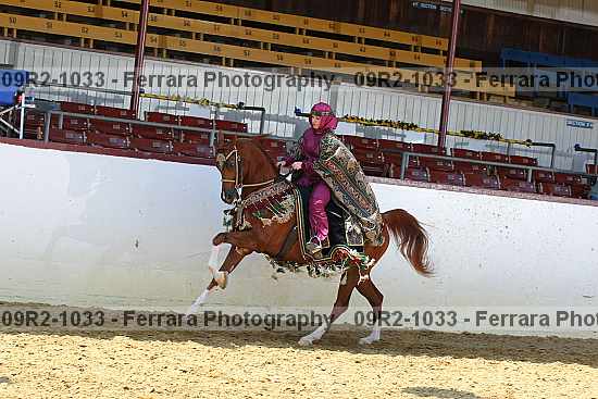 Proof 09r2-1033