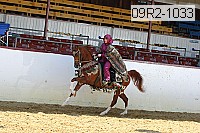 09r2-1033 proof