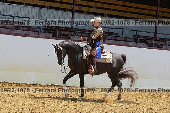 Proof 09r2-1078