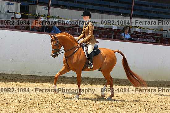Proof 09r2-1084