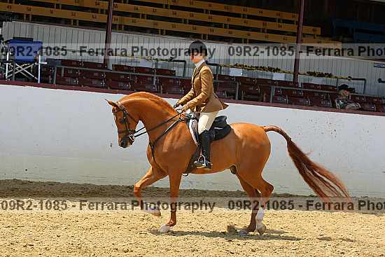 Proof 09r2-1085