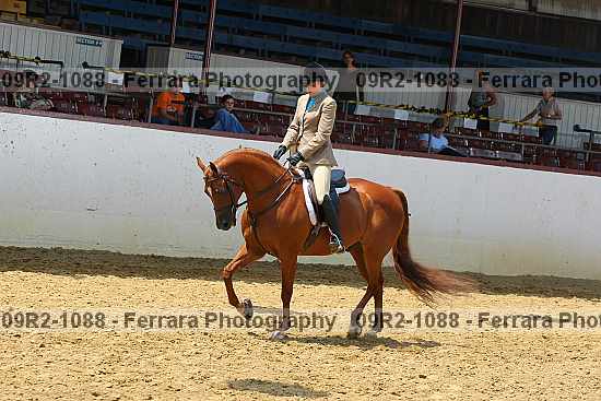 Proof 09r2-1088