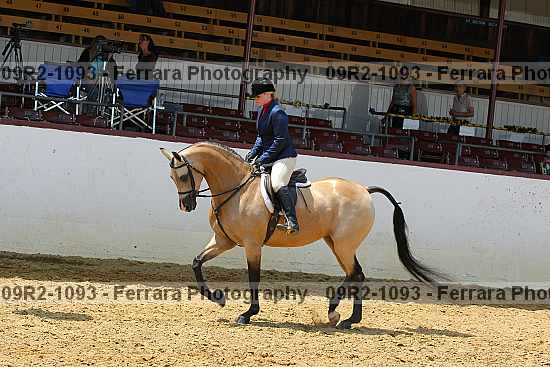 Proof 09r2-1093