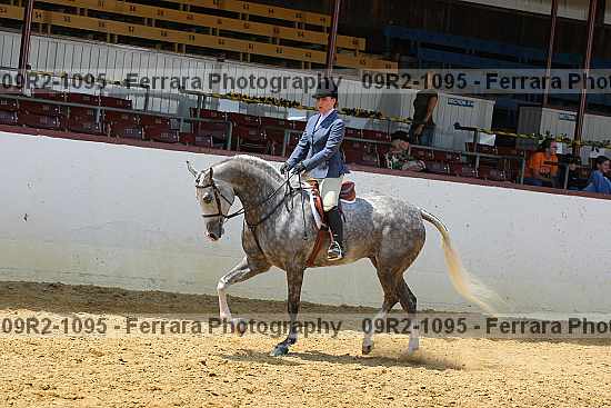 Proof 09r2-1095