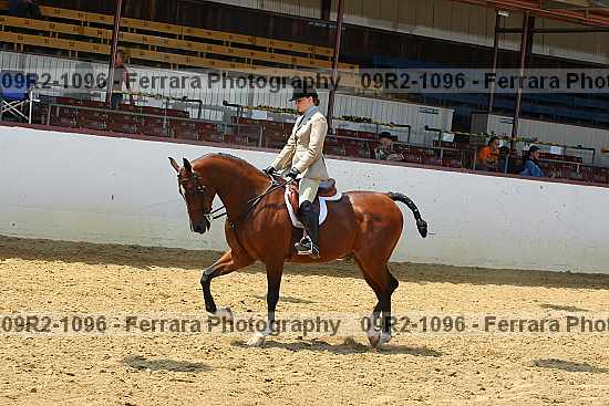 Proof 09r2-1096