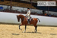 09r2-1096 proof