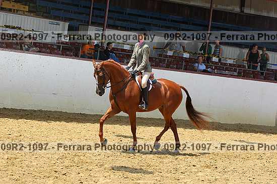 Proof 09r2-1097