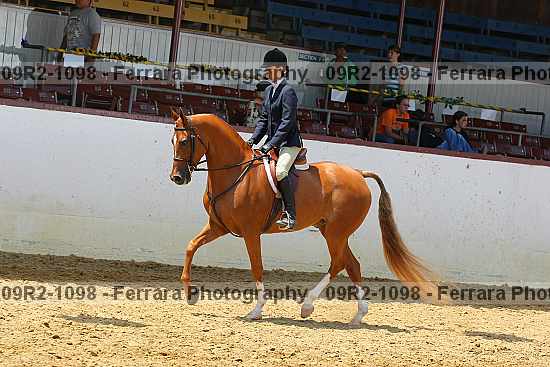 Proof 09r2-1098