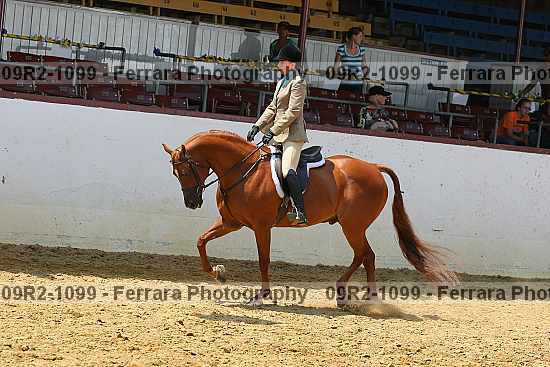 Proof 09r2-1099