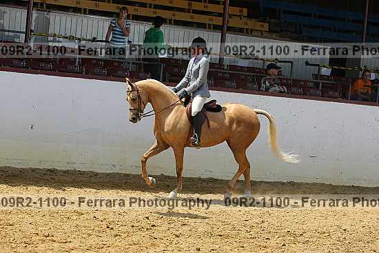 Proof 09r2-1100