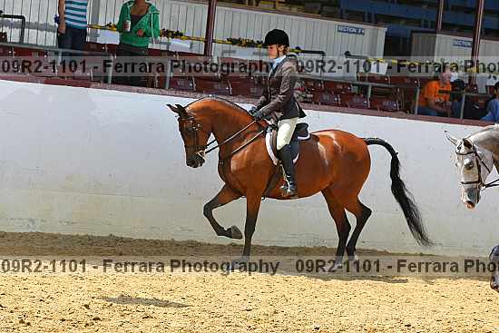 Proof 09r2-1101
