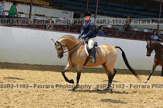 Proof 09r2-1102