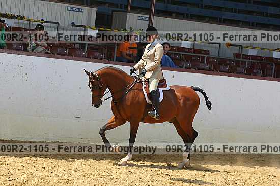 Proof 09r2-1105