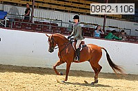 09r2-1106 proof