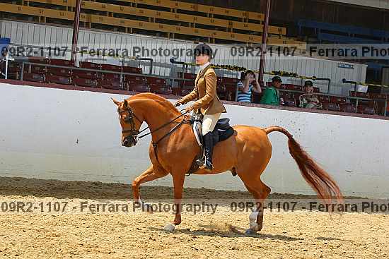 Proof 09r2-1107