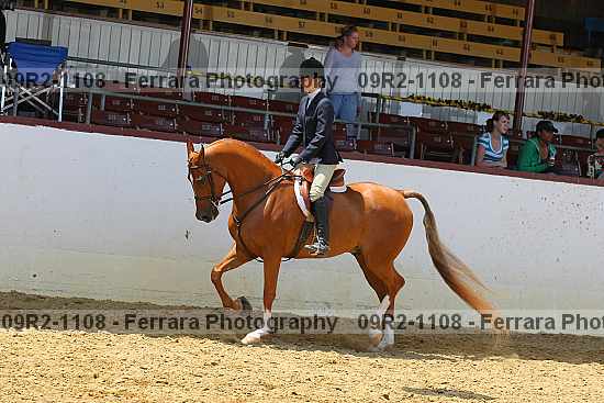 Proof 09r2-1108