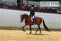 09r2-1110 proof