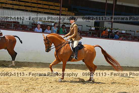 Proof 09r2-1113