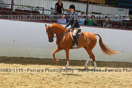 Proof 09r2-1115