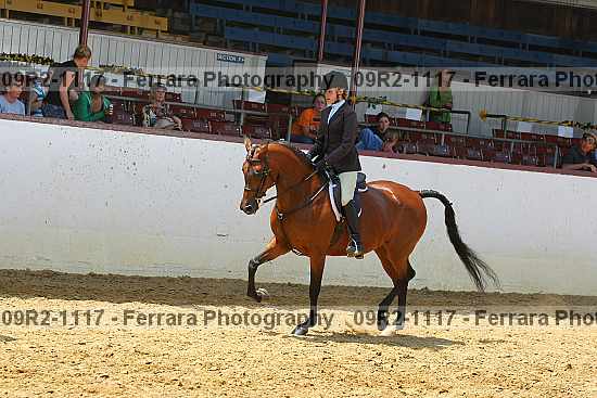 Proof 09r2-1117