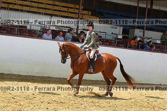 Proof 09r2-1118