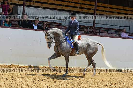 Proof 09r2-1119