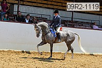 09r2-1119 proof