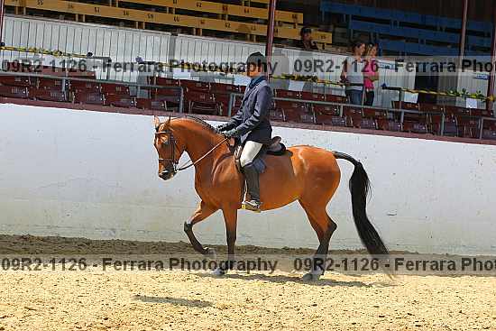 Proof 09r2-1126