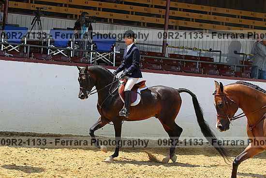 Proof 09r2-1133