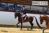 09r2-1133 proof