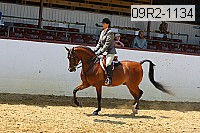 09r2-1134 proof