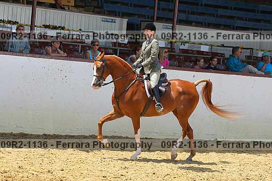 Proof 09r2-1136