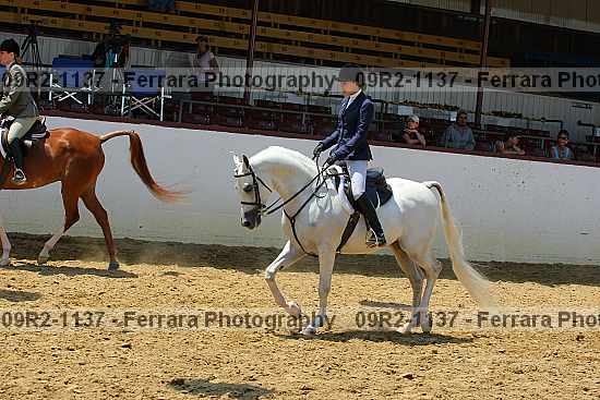 Proof 09r2-1137