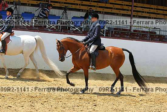 Proof 09r2-1141