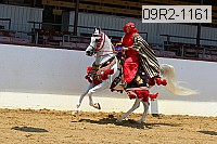 09r2-1161 proof